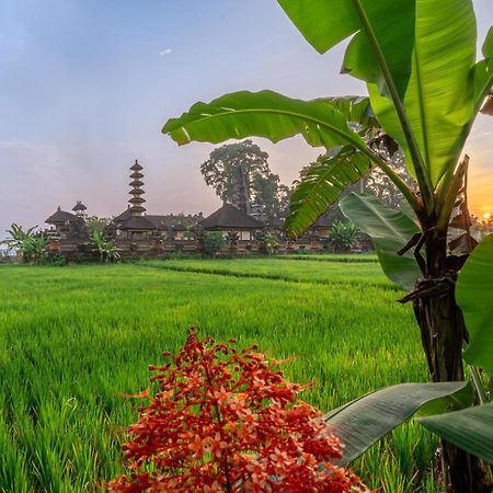 Your Dream Getaway Awaits - Villa In Ubud Offering Unmatched Temple Views! Ngoại thất bức ảnh