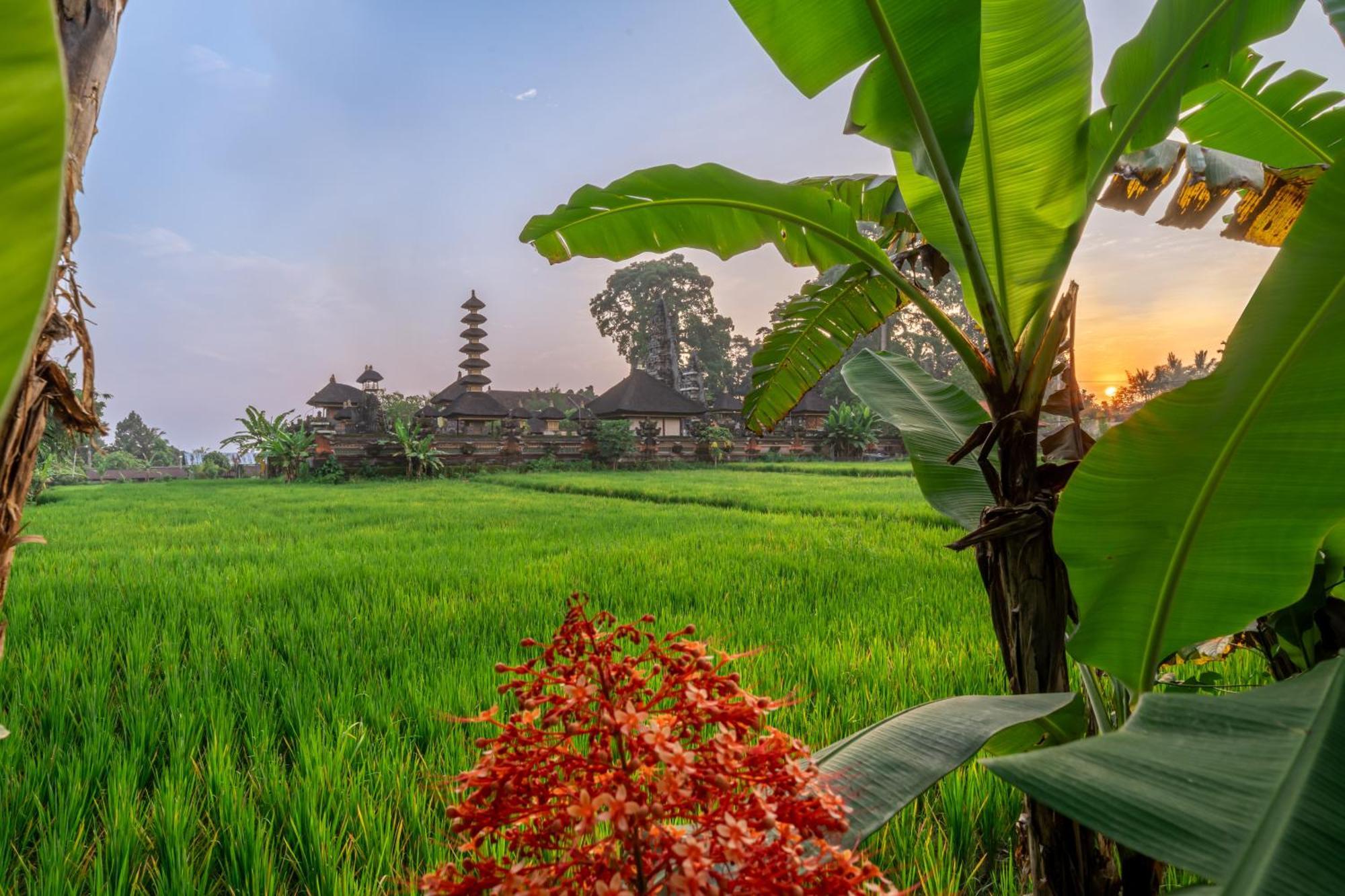 Your Dream Getaway Awaits - Villa In Ubud Offering Unmatched Temple Views! Ngoại thất bức ảnh